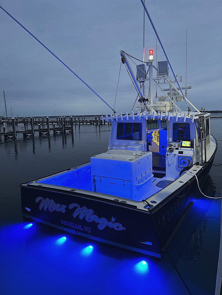 Lighting: a job by Evolution Marine Electronics