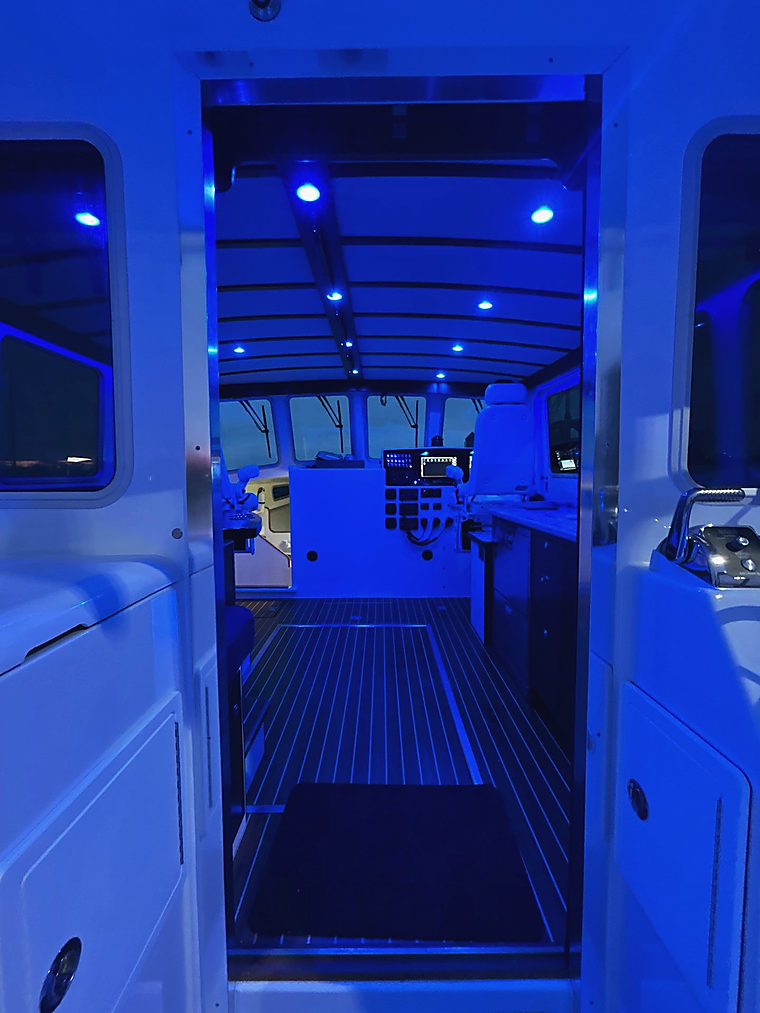 Lighting: a job by Evolution Marine Electronics