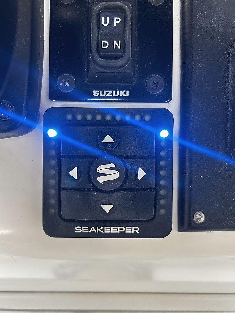 Stabilization: a job by Evolution Marine Electronics